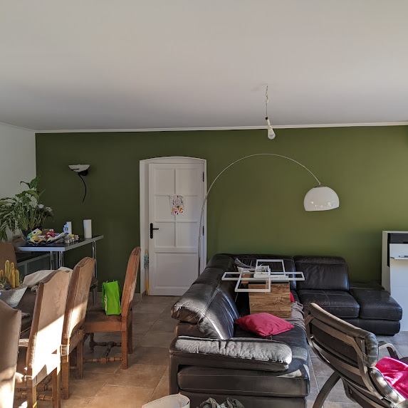 sejour avec un murs de couleur verte