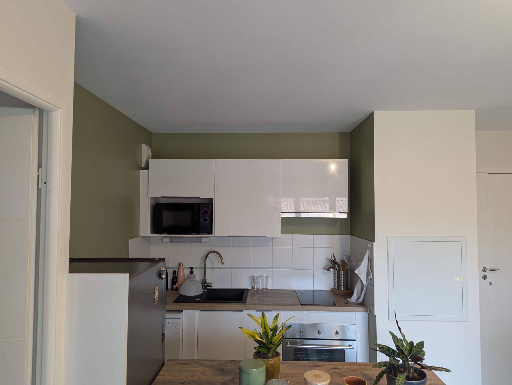 cuisine blanche avec des murs verts